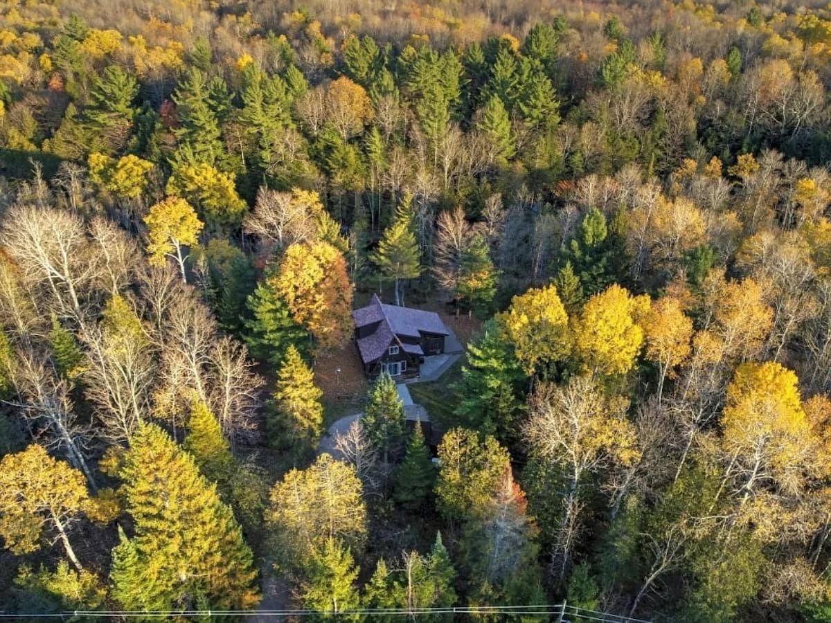 Interior shot looking out a large window to the forest